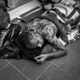 A refugee sleeps at Esenler, Istanbul’s bus terminal. Sept. 16, 2015.